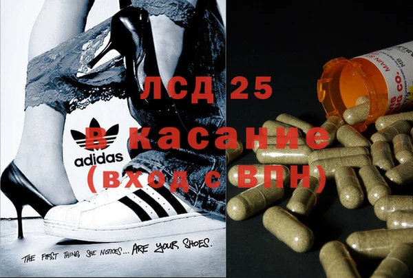 MESCALINE Майский