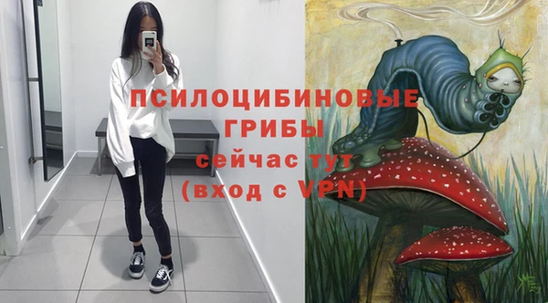 гидропоника Магас