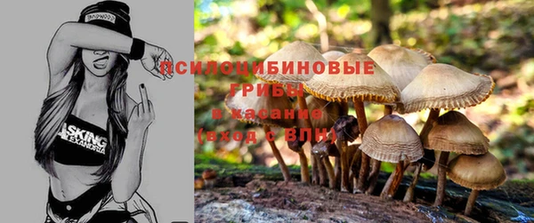 СК Мегион