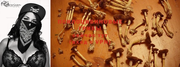 ПСИЛОЦИБИНОВЫЕ ГРИБЫ Усинск