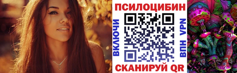сколько стоит  Мостовской  KRAKEN   Псилоцибиновые грибы Psilocybe 